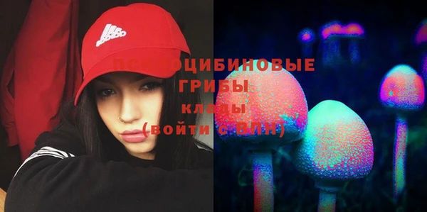 apvp Ладушкин