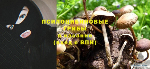 apvp Ладушкин