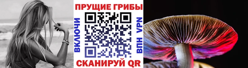 Купить закладки  Кукмор  Псилоцибиновые грибы Psilocybine cubensis 